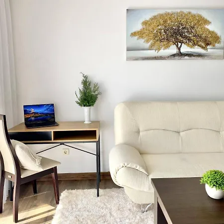 Apartament Large One Bedroom With Terrace Next To The Lift