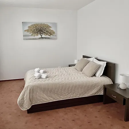 Large One Bedroom With Terrace Next To The Lift Apartament Bansko