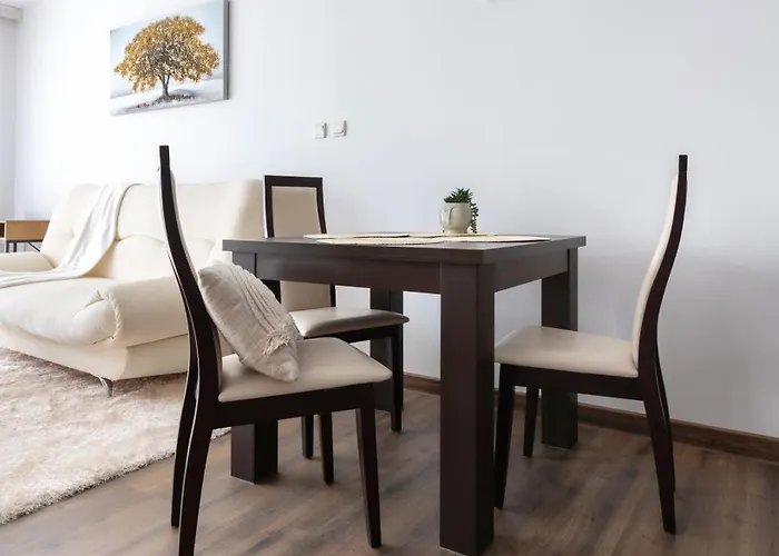 Large One Bedroom With Terrace Next To The Lift