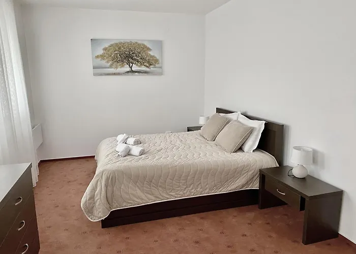 Large One Bedroom With Terrace Next To The Lift Apartmán Bansko